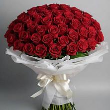 Букет 101 Красная роза Блэк Мэджик в Сибае