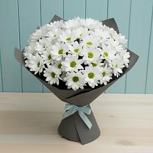 Букет цветов из:  Хризантемы в Сибае
