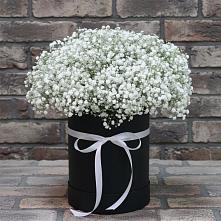Цветочная композиция из Гипсофила в шляпной коробке в Сибае